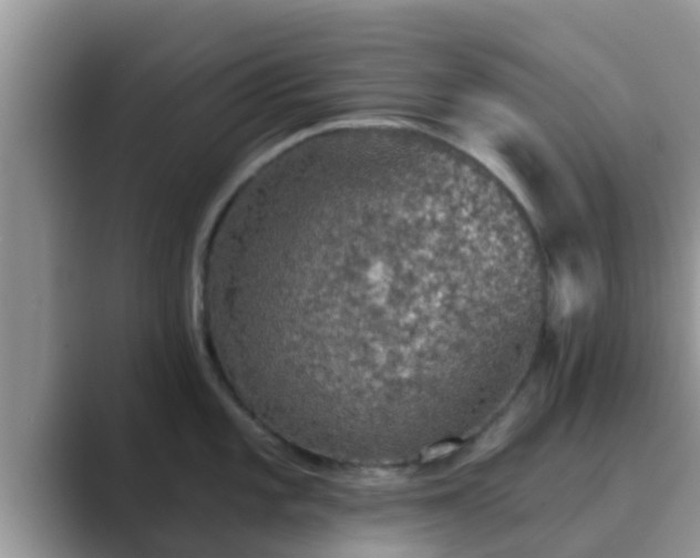 X0000089881101200707051205