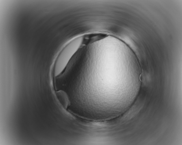 X0000089881102200707051205