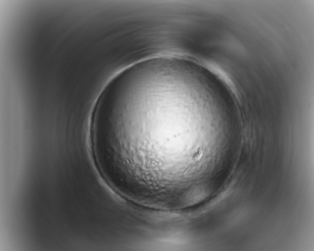 X0000089881103200707051205