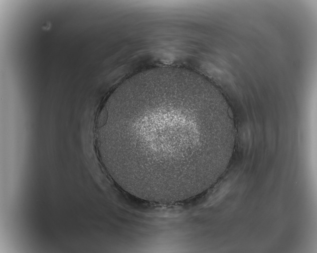 X0000089881105200707051205