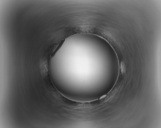 X0000089881107200707051205