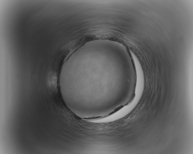 X0000089881108200707051205