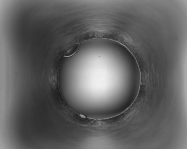 X0000089881109200707051205