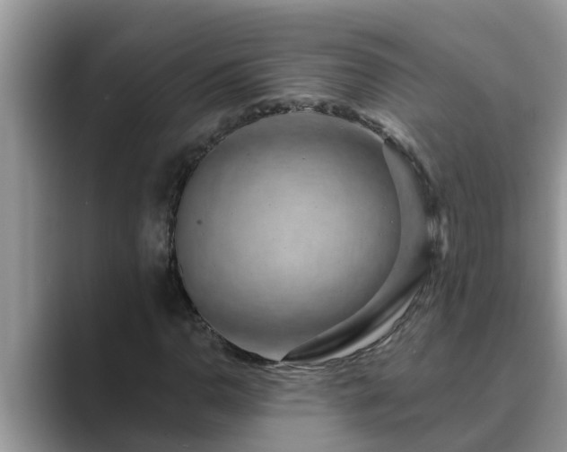 X0000089881110200707051205