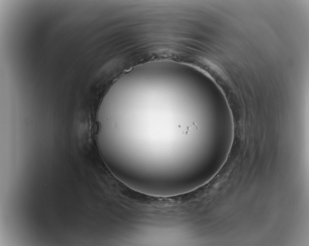 X0000089881111200707051205