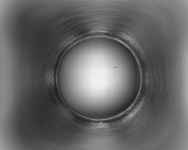 X0000089881113200707051205