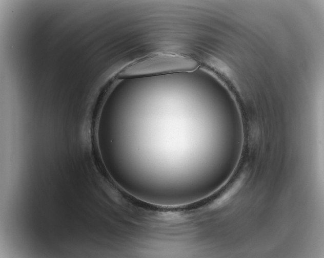 X0000089881114200707051205