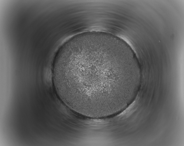 X0000089881115200707051205