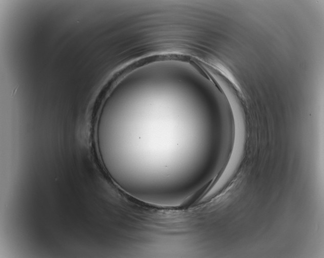 X0000089881116200707051205