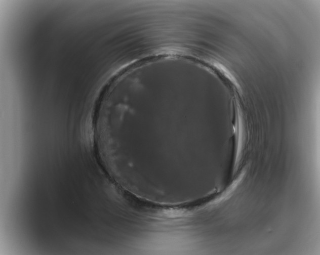 X0000089881117200707051205