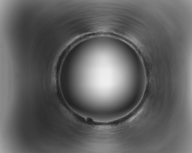 X0000089881118200707051205