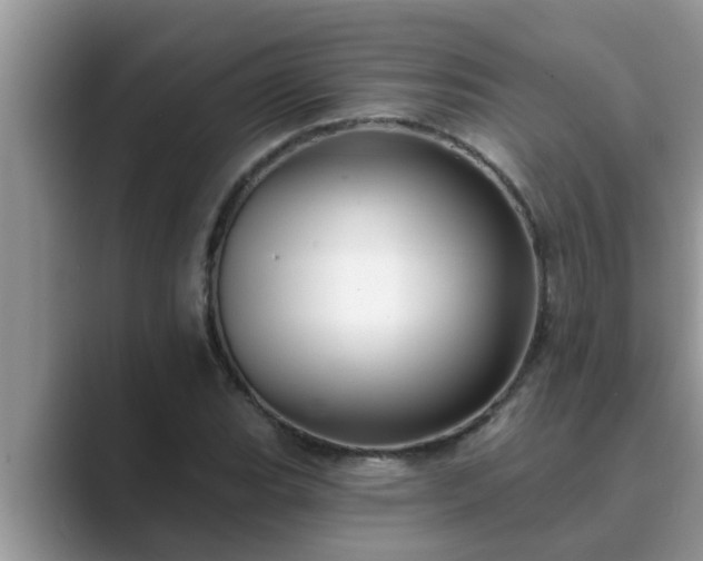 X0000089881119200707051205