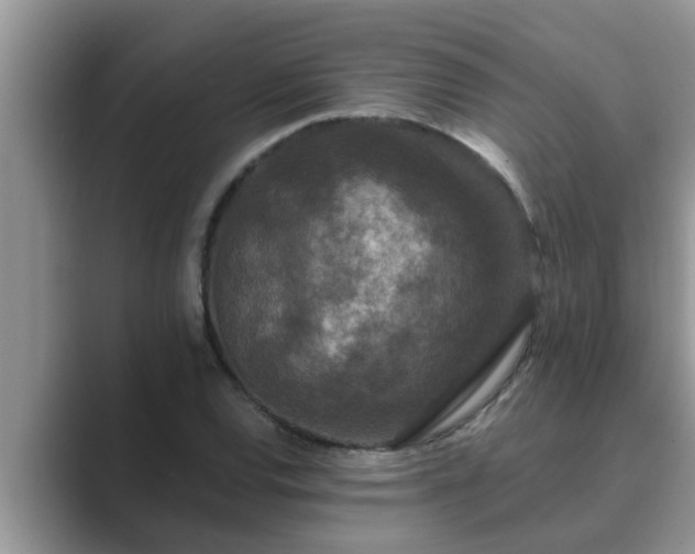 X0000089881120200707051205