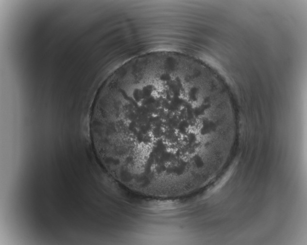 X0000089881121200707051205