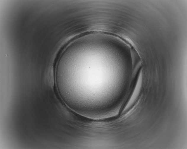 X0000089881123200707051205