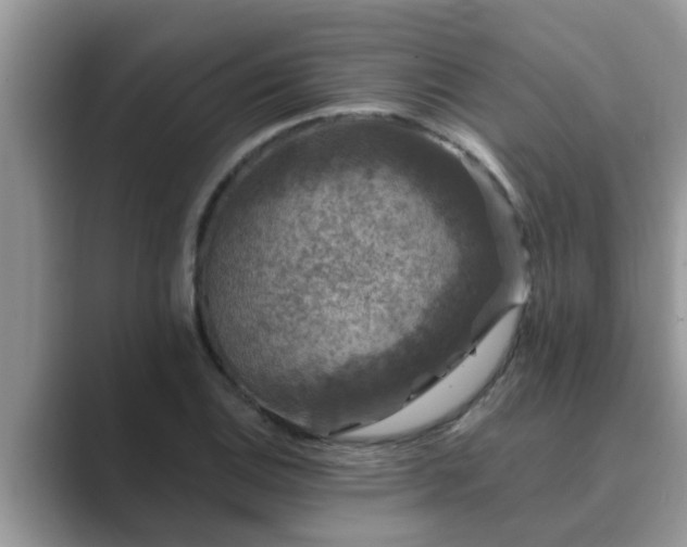 X0000089881124200707051205