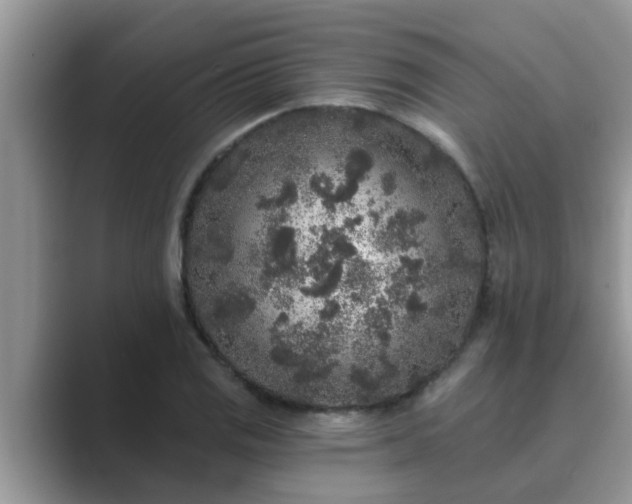 X0000089881125200707051205