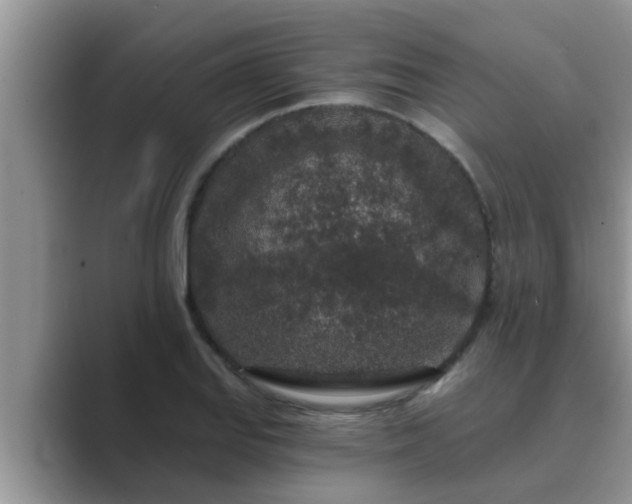 X0000089881127200707051205