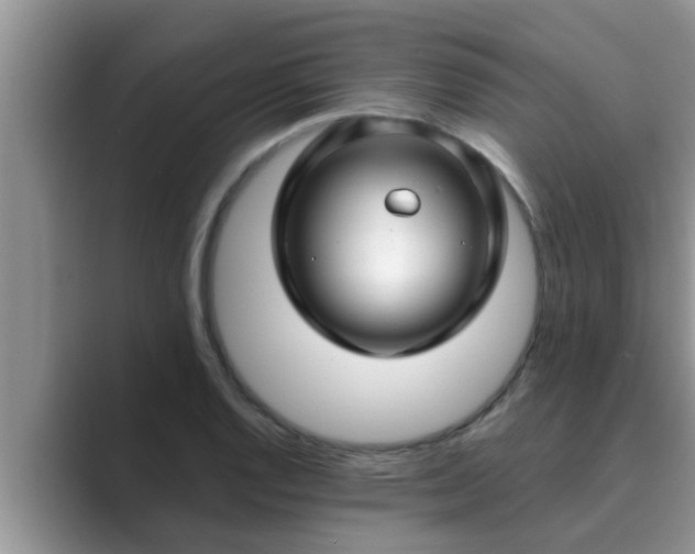 X0000089881128200707051205