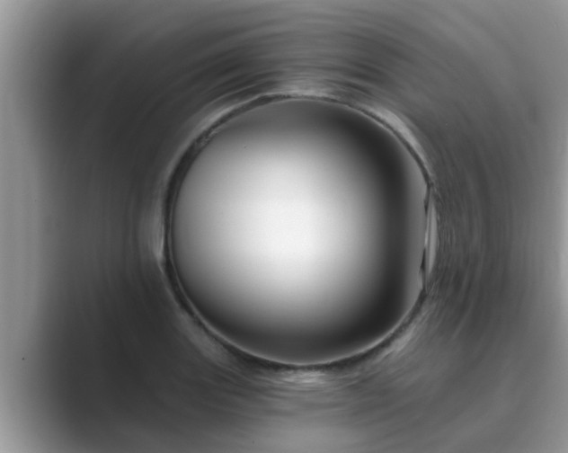 X0000089881131200707051205