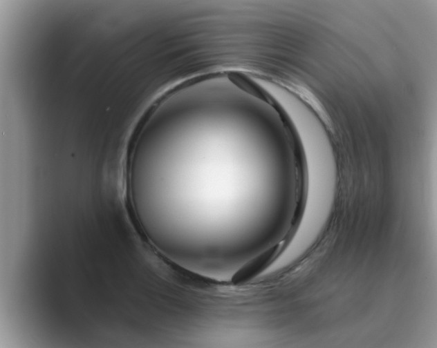 X0000089881132200707051205