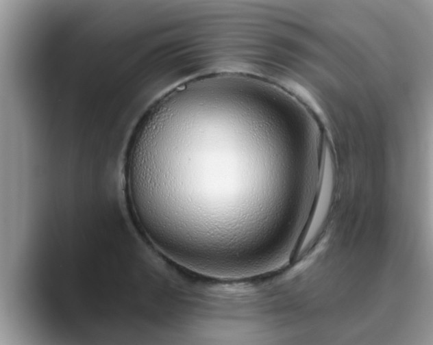 X0000089881133200707051205