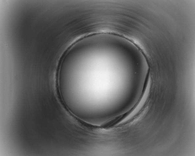 X0000089881134200707051205