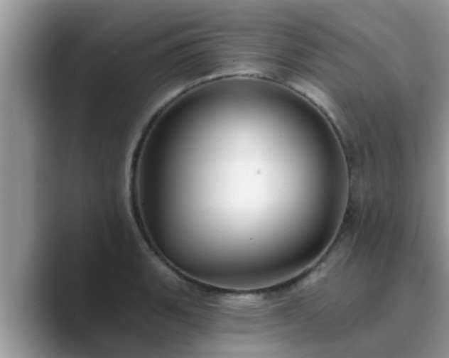 X0000089881135200707051205