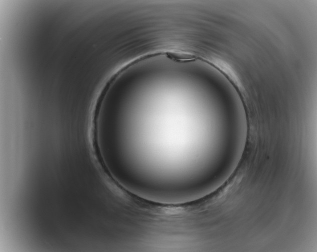 X0000089881136200707051205