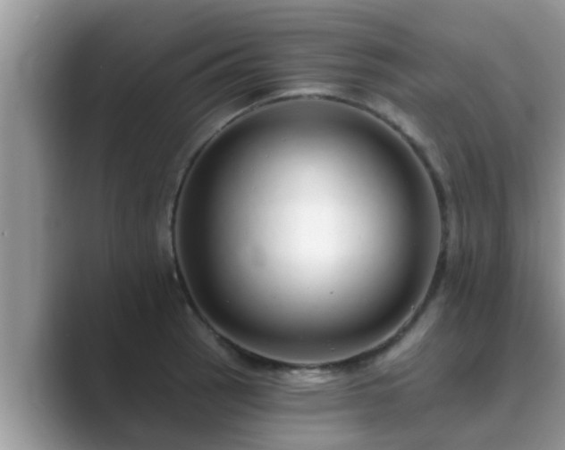 X0000089881137200707051205