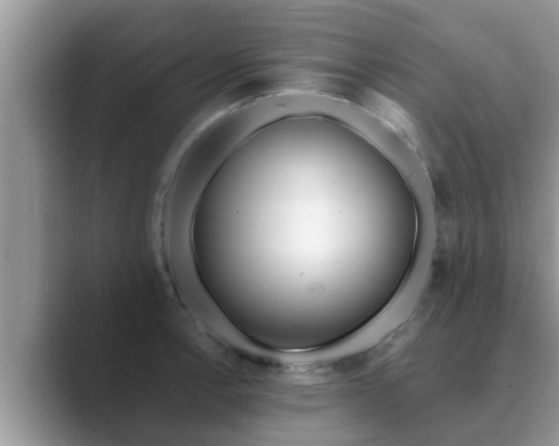 X0000089881138200707051205