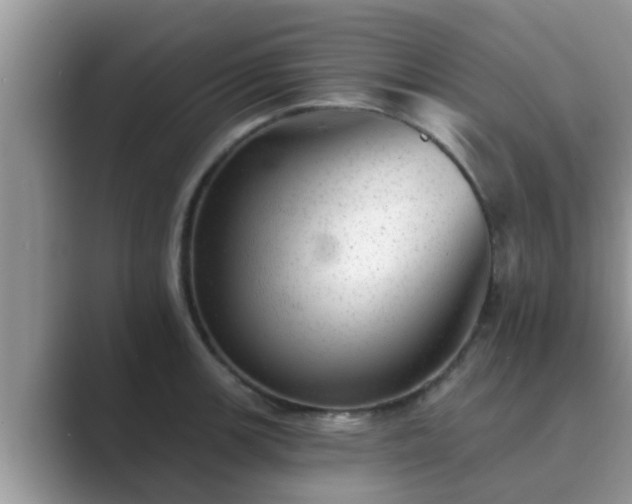 X0000089881139200707051205