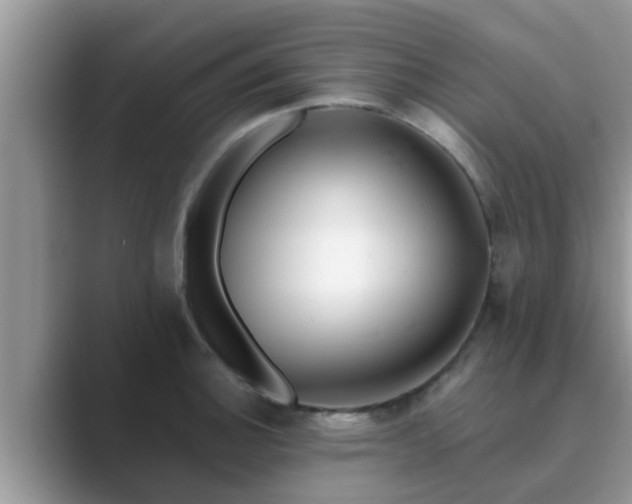 X0000089881140200707051205