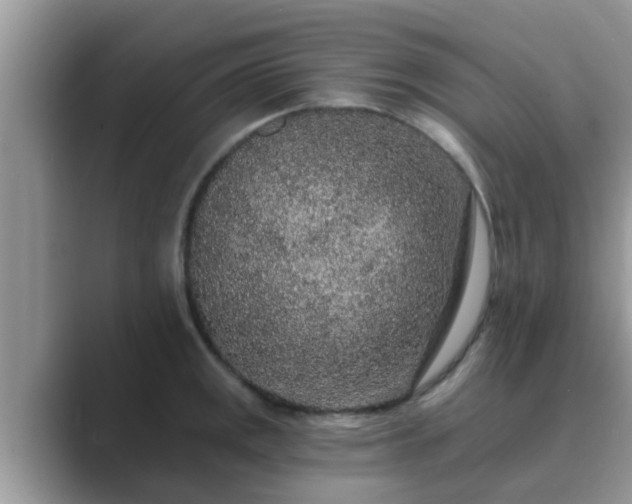 X0000089881141200707051205