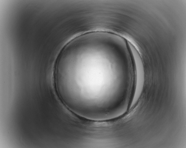 X0000089881142200707051205