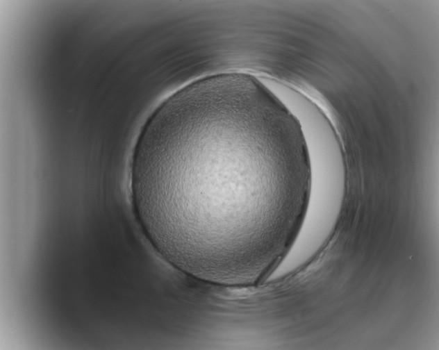 X0000089881144200707051205