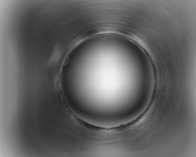 X0000089881145200707051205