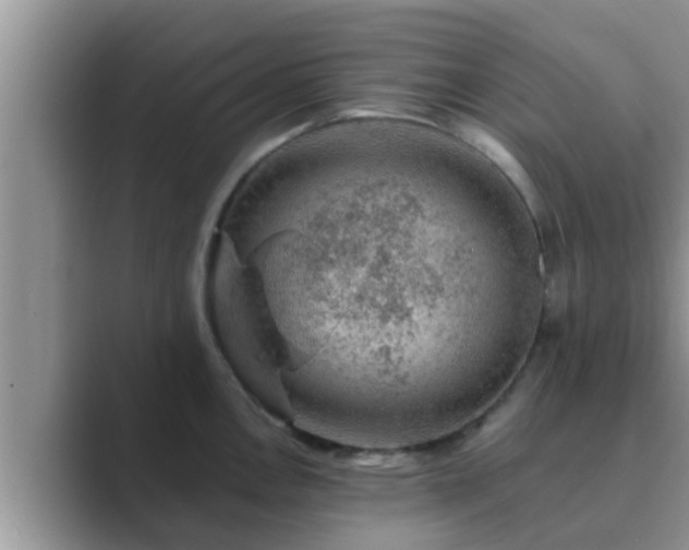 X0000089881146200707051205