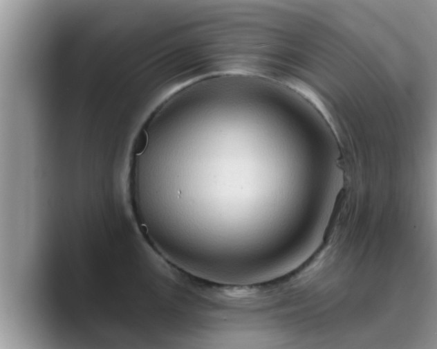 X0000089881147200707051205