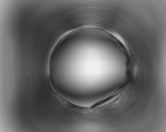 X0000089881148200707051205