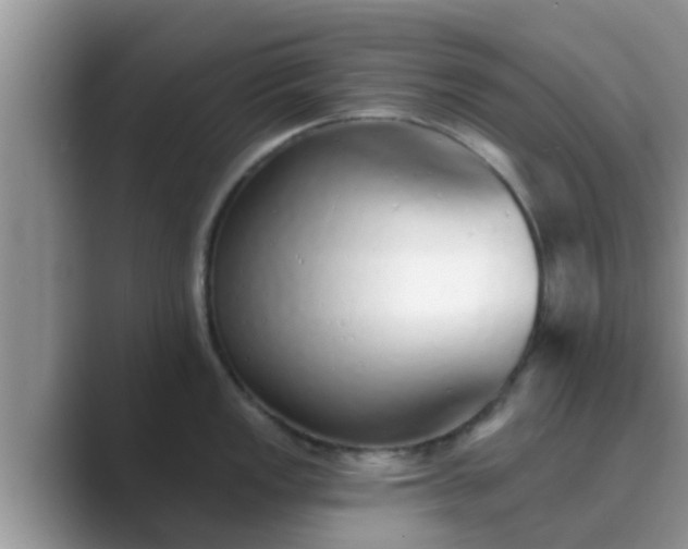 X0000089881149200707051205