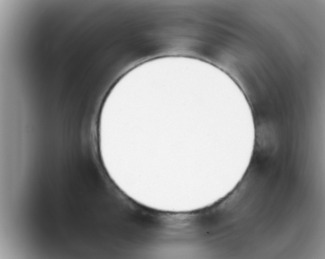 X0000089881150200707051205