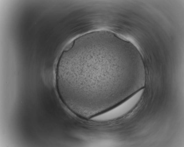 X0000089881151200707051205