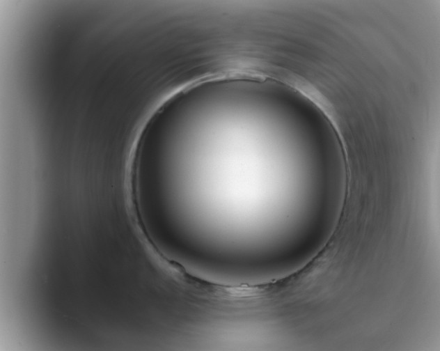 X0000089881152200707051205