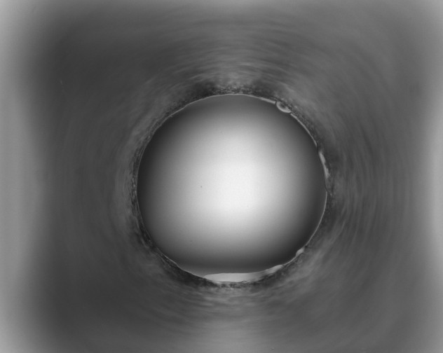 X0000089881153200707051205