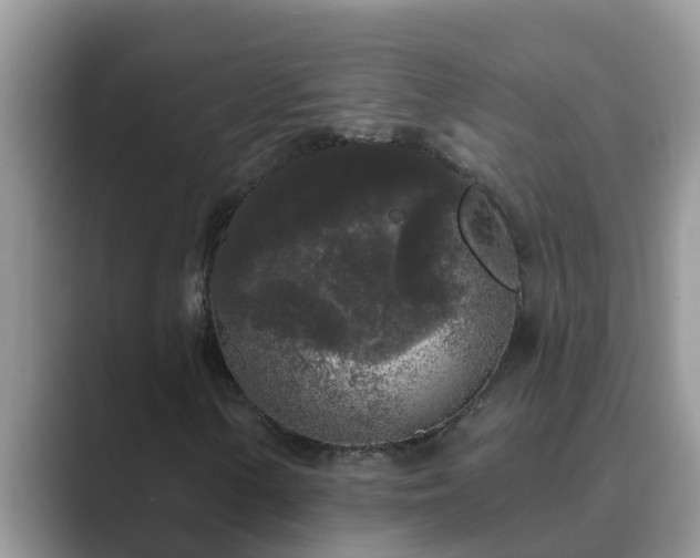 X0000089881154200707051205