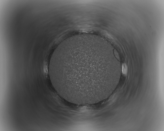 X0000089881155200707051205