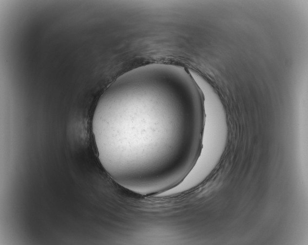 X0000089881156200707051205