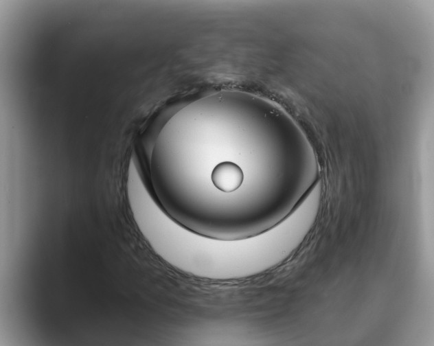 X0000089881157200707051205