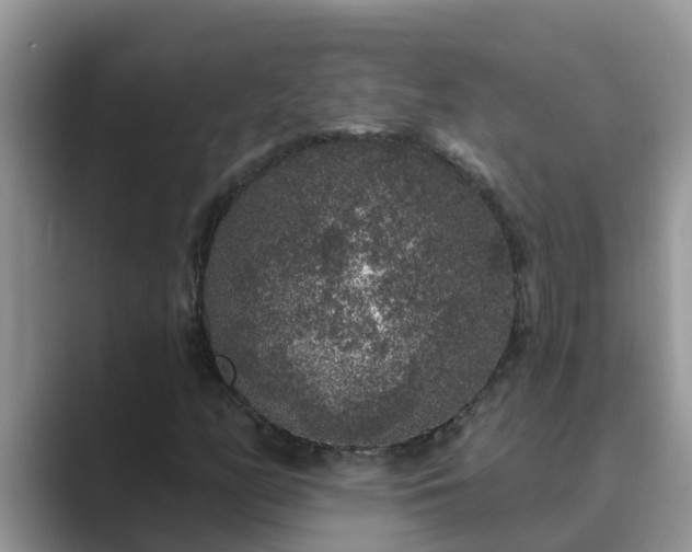 X0000089881158200707051205